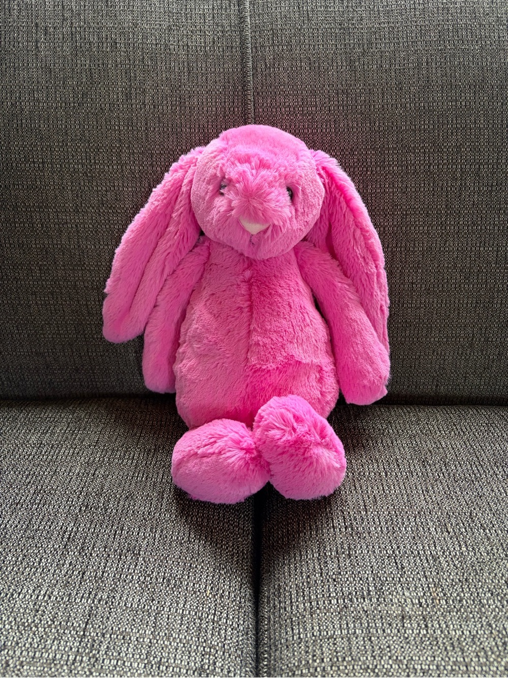 Jellycat Hot Pink Plush Bunny Stuffed Animal